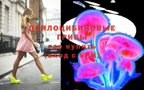 СК Покровск