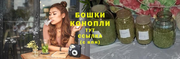 СК Покровск