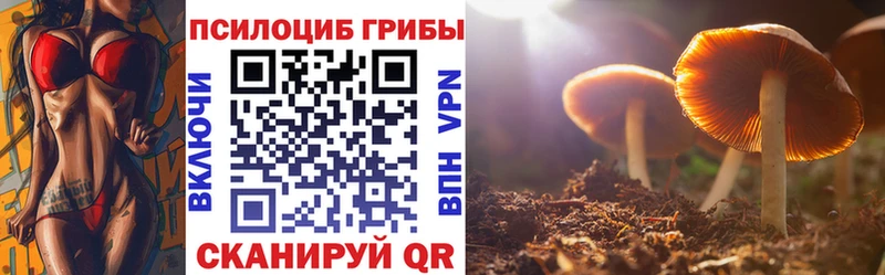 kraken вход  купить  цена  сайты даркнета формула  Галлюциногенные грибы Psilocybine cubensis  Красково 